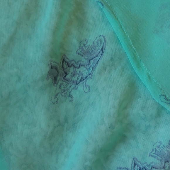 Sheer Blouse - Picture 2 of 7